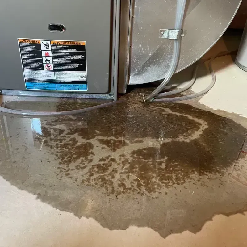 Appliance Leak Cleanup in Gerald, MO